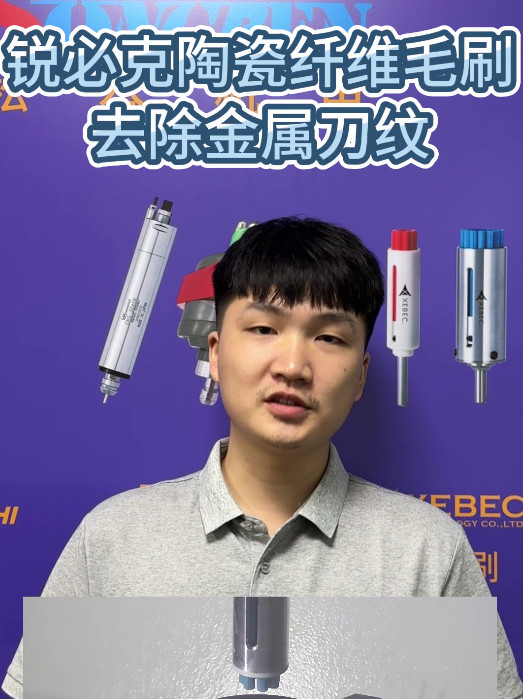 锐必克研磨刷