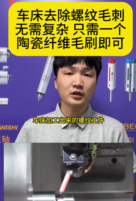 锐必克陶瓷纤维毛刷